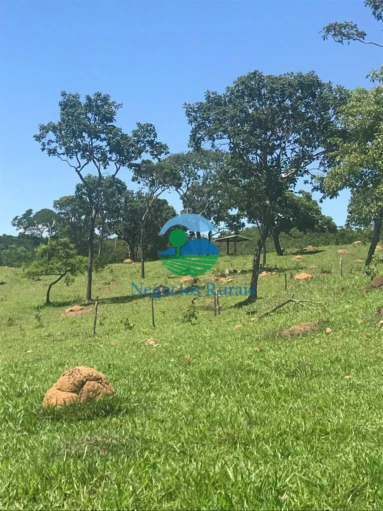 Fazenda à venda de 121 ha em Bela Vista de Goiás, GO, Brasil