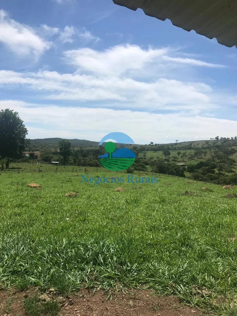 Fazenda à venda de 121 ha em Bela Vista de Goiás, GO, Brasil