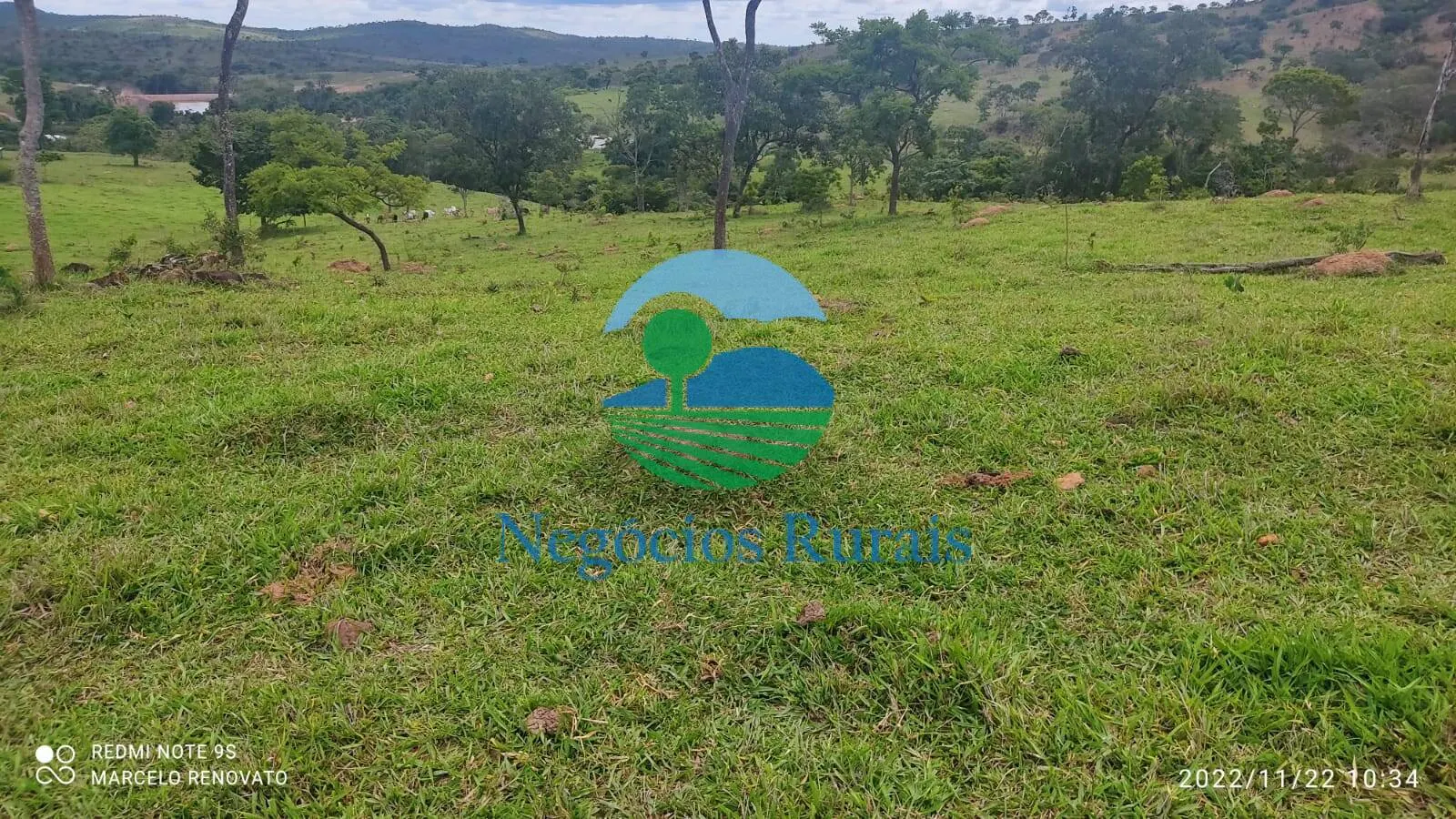 Fazenda à venda de 121 ha em Bela Vista de Goiás, GO, Brasil