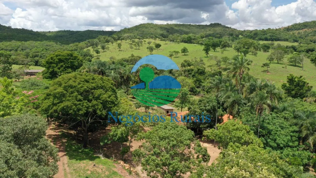 Fazenda à venda de 121 ha em Bela Vista de Goiás, GO, Brasil