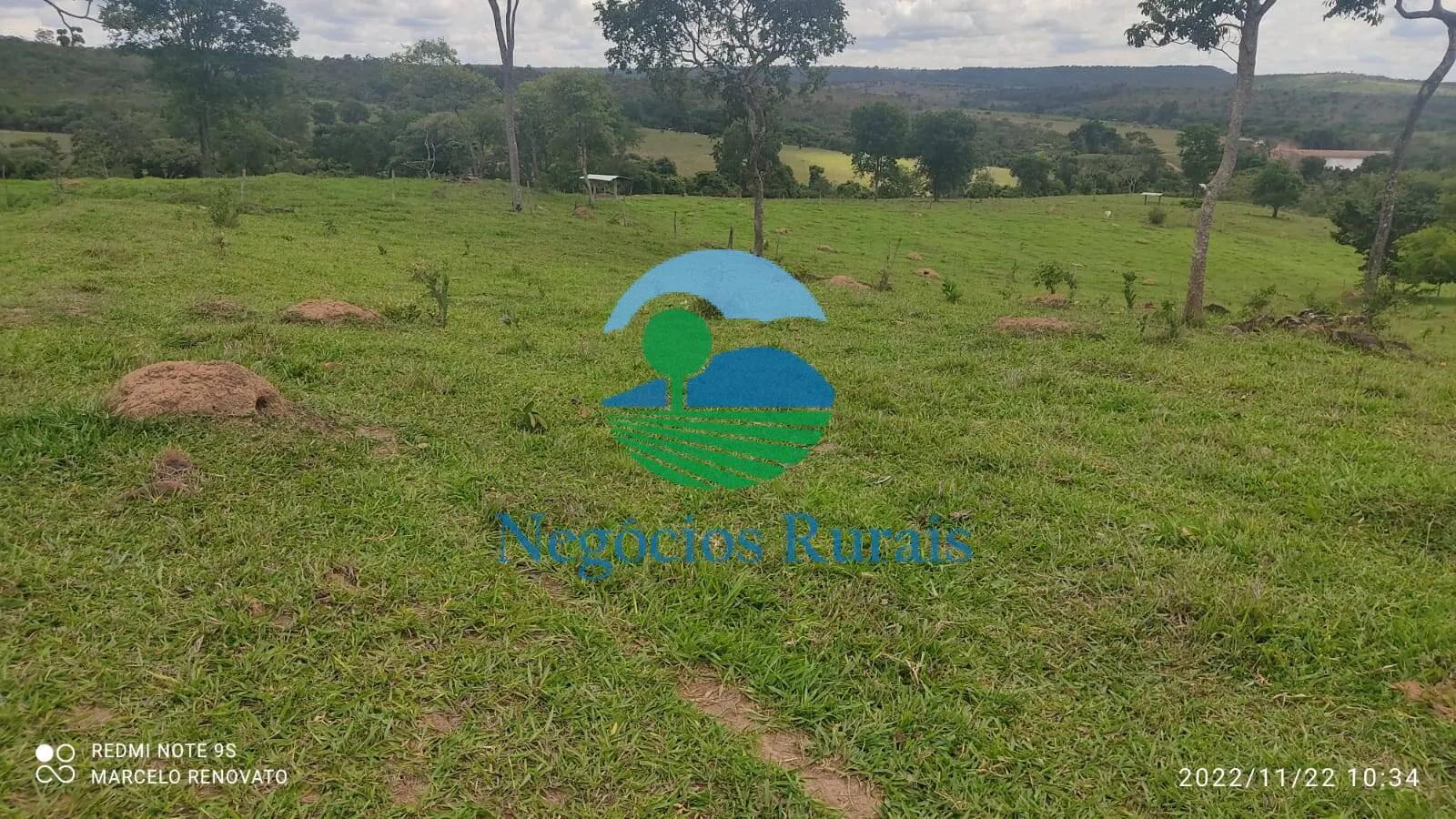 Fazenda à venda de 121 ha em Bela Vista de Goiás, GO, Brasil