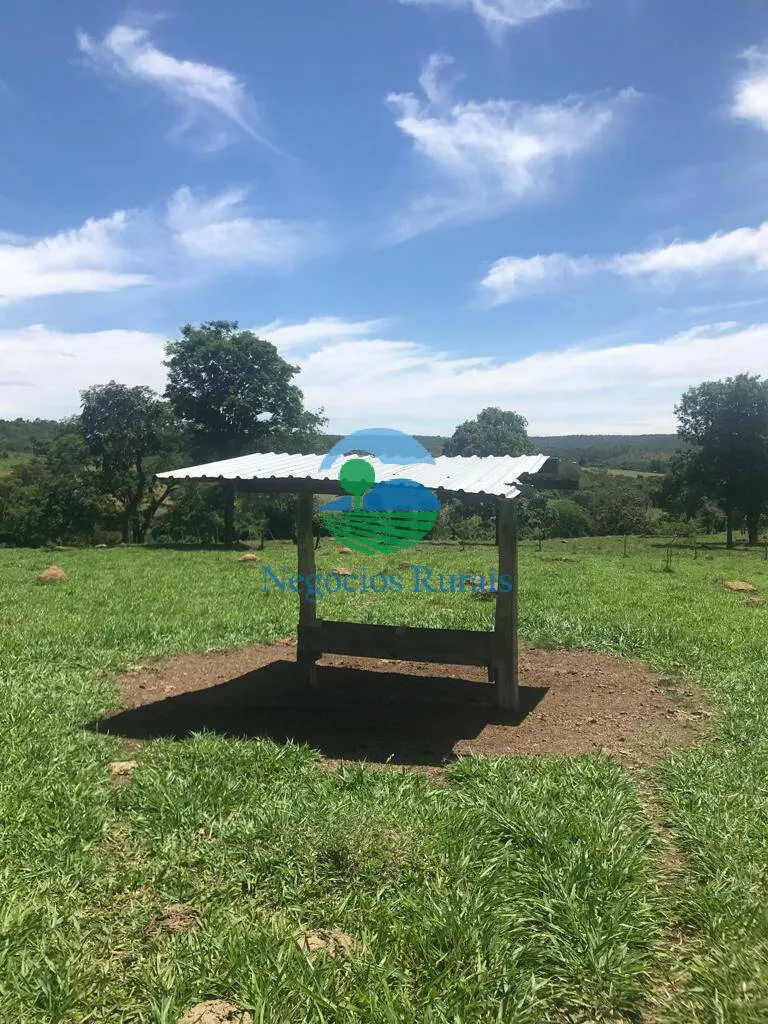 Fazenda à venda de 121 ha em Bela Vista de Goiás, GO, Brasil