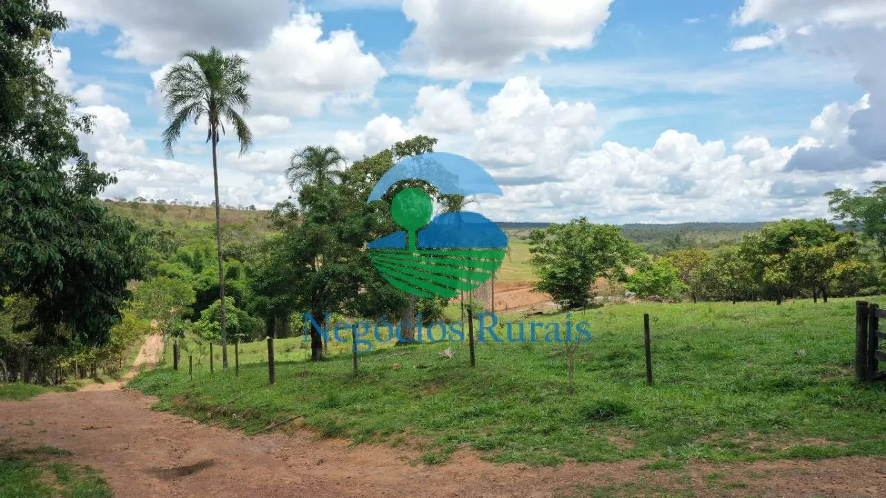 Fazenda à venda de 121 ha em Bela Vista de Goiás, GO, Brasil