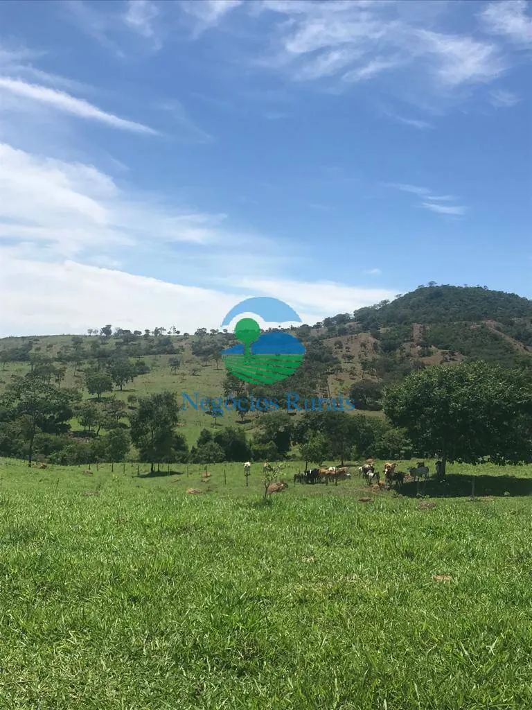 Fazenda à venda de 121 ha em Bela Vista de Goiás, GO, Brasil