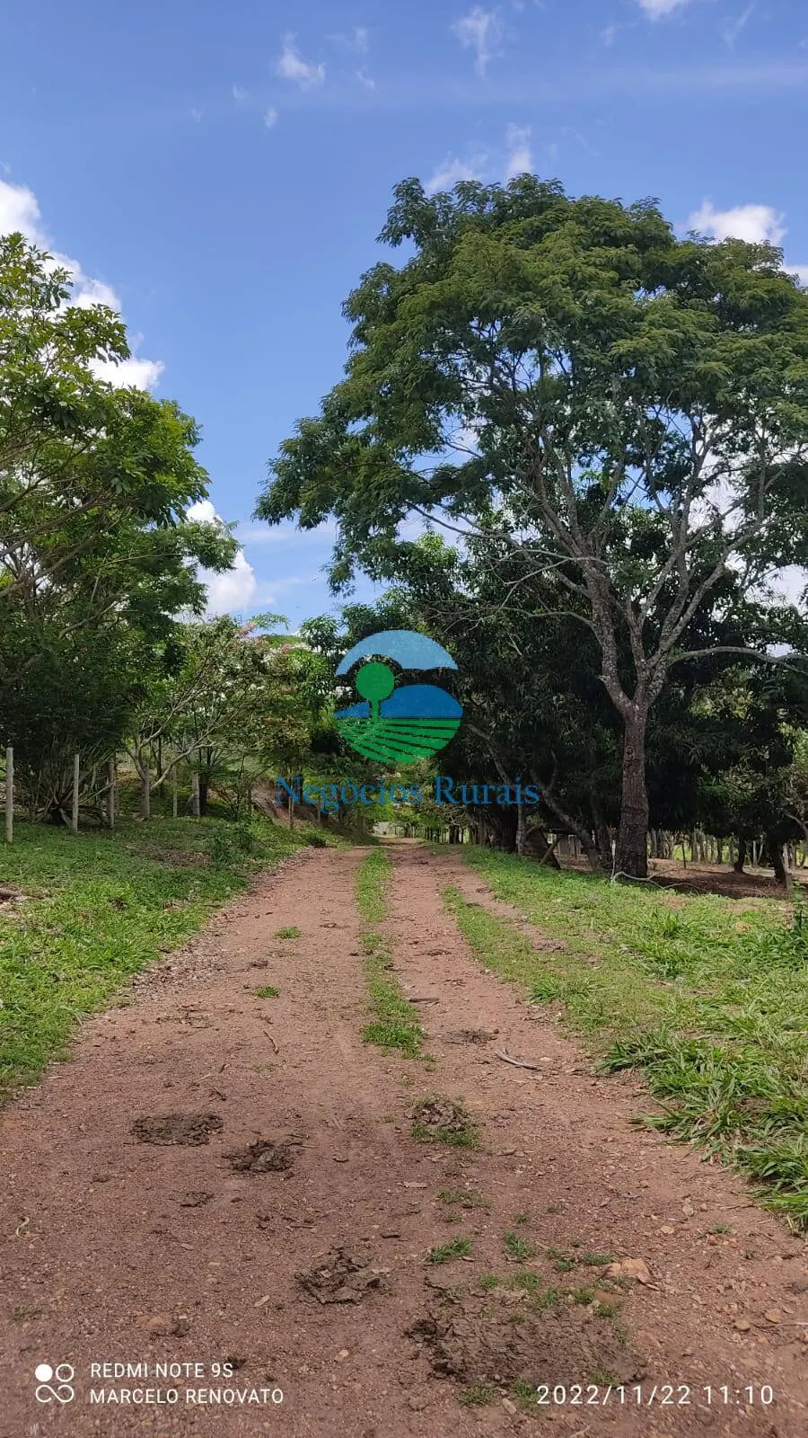 Fazenda à venda de 121 ha em Bela Vista de Goiás, GO, Brasil