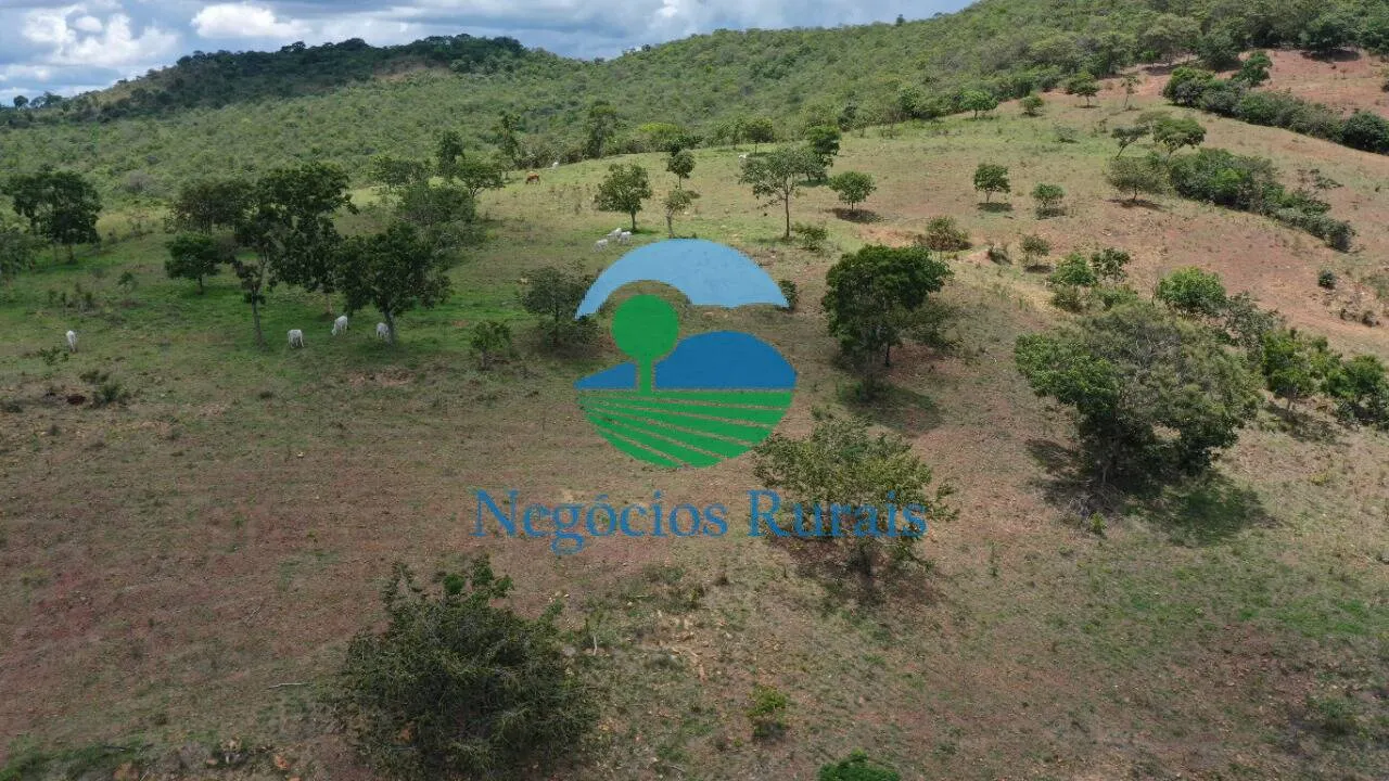 Fazenda à venda de 121 ha em Bela Vista de Goiás, GO, Brasil