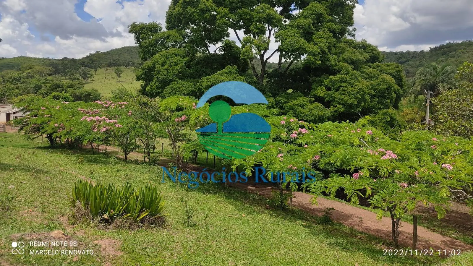 Fazenda à venda de 121 ha em Bela Vista de Goiás, GO, Brasil