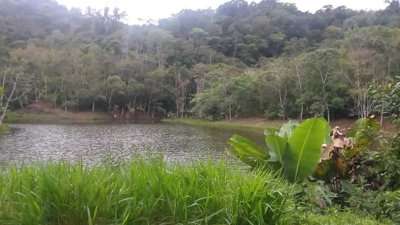 Fazenda à venda de 125 ha em Juquiá, SP, Brasil