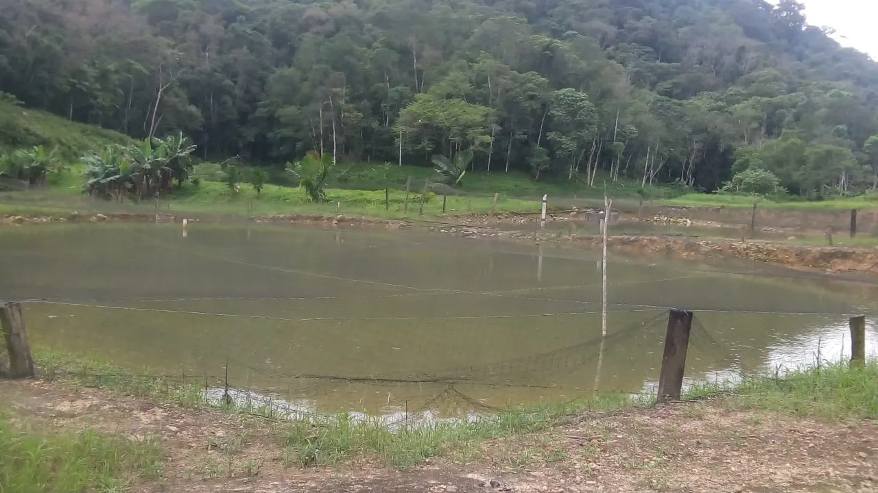 Fazenda à venda de 125 ha em Juquiá, SP, Brasil