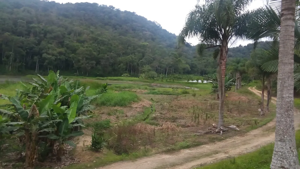 Fazenda à venda de 125 ha em Juquiá, SP, Brasil