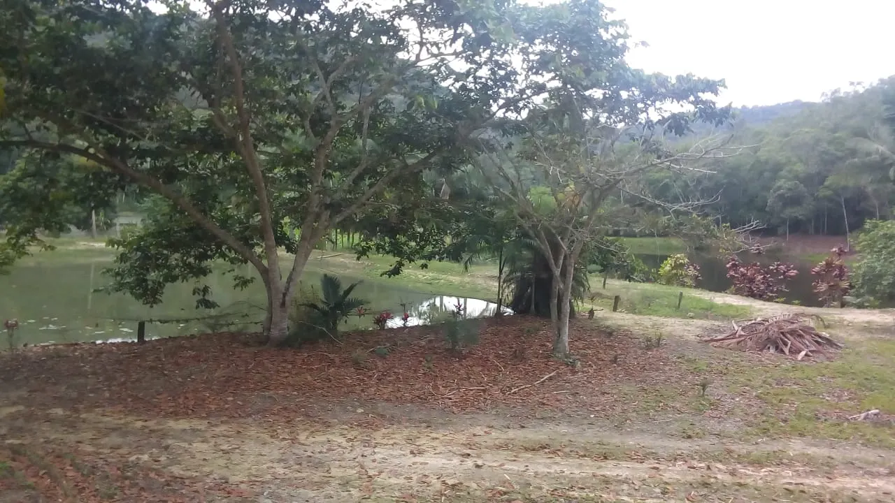 Fazenda à venda de 125 ha em Juquiá, SP, Brasil
