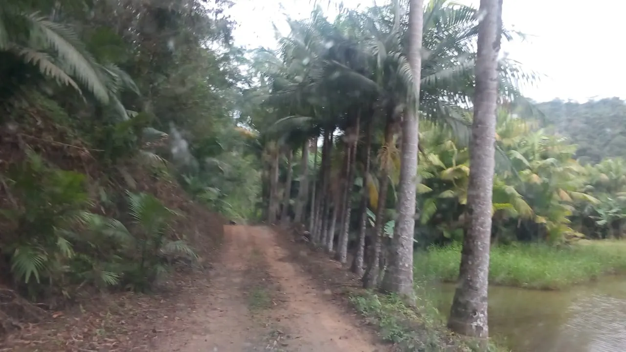 Fazenda à venda de 125 ha em Juquiá, SP, Brasil