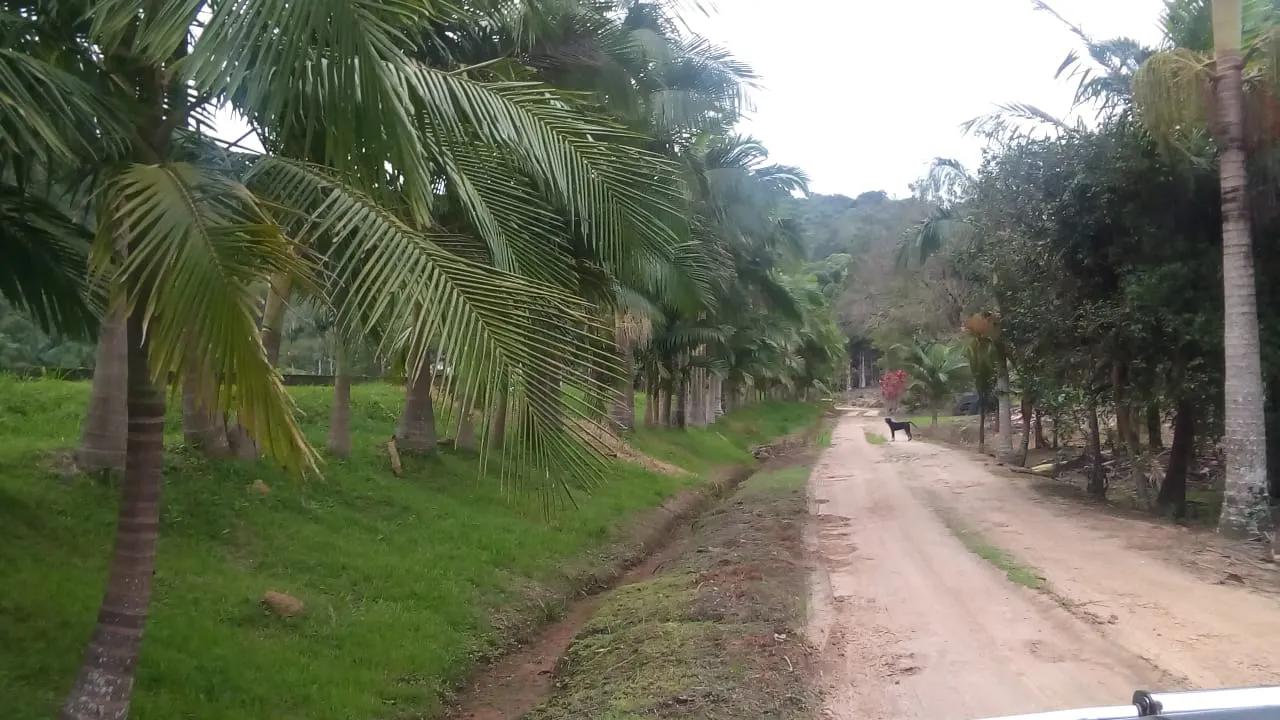 Fazenda à venda de 125 ha em Juquiá, SP, Brasil