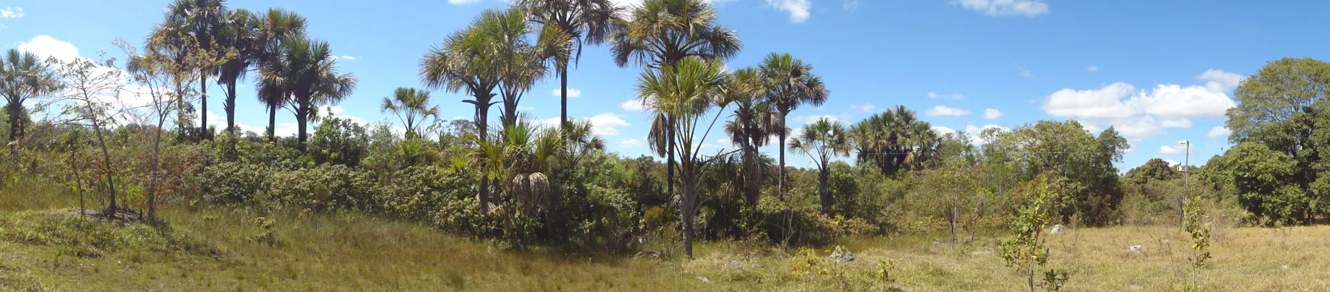 Small farm for sale of 96 acres in Cristalina, GO, Brazil