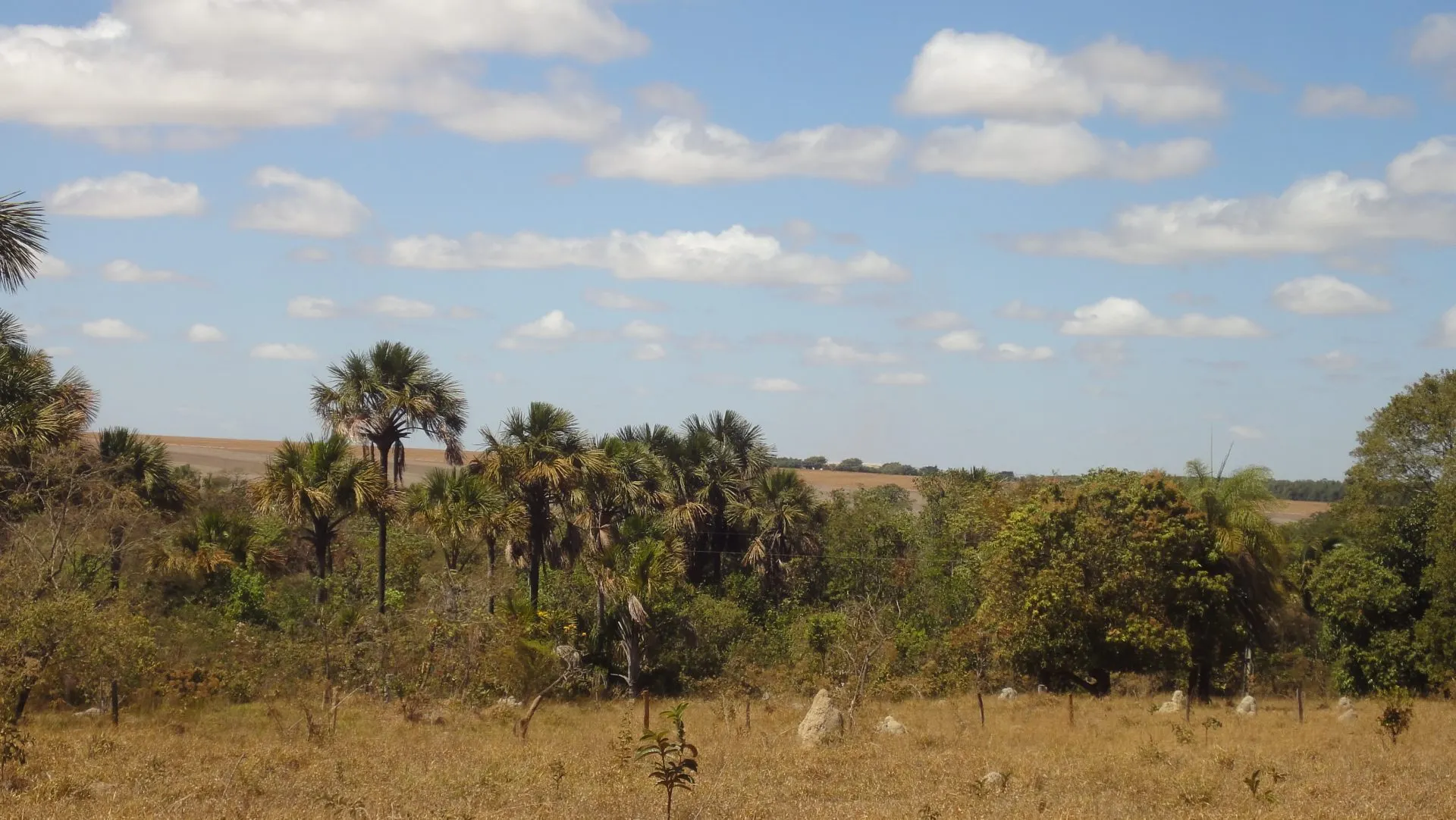Small farm for sale of 96 acres in Cristalina, GO, Brazil