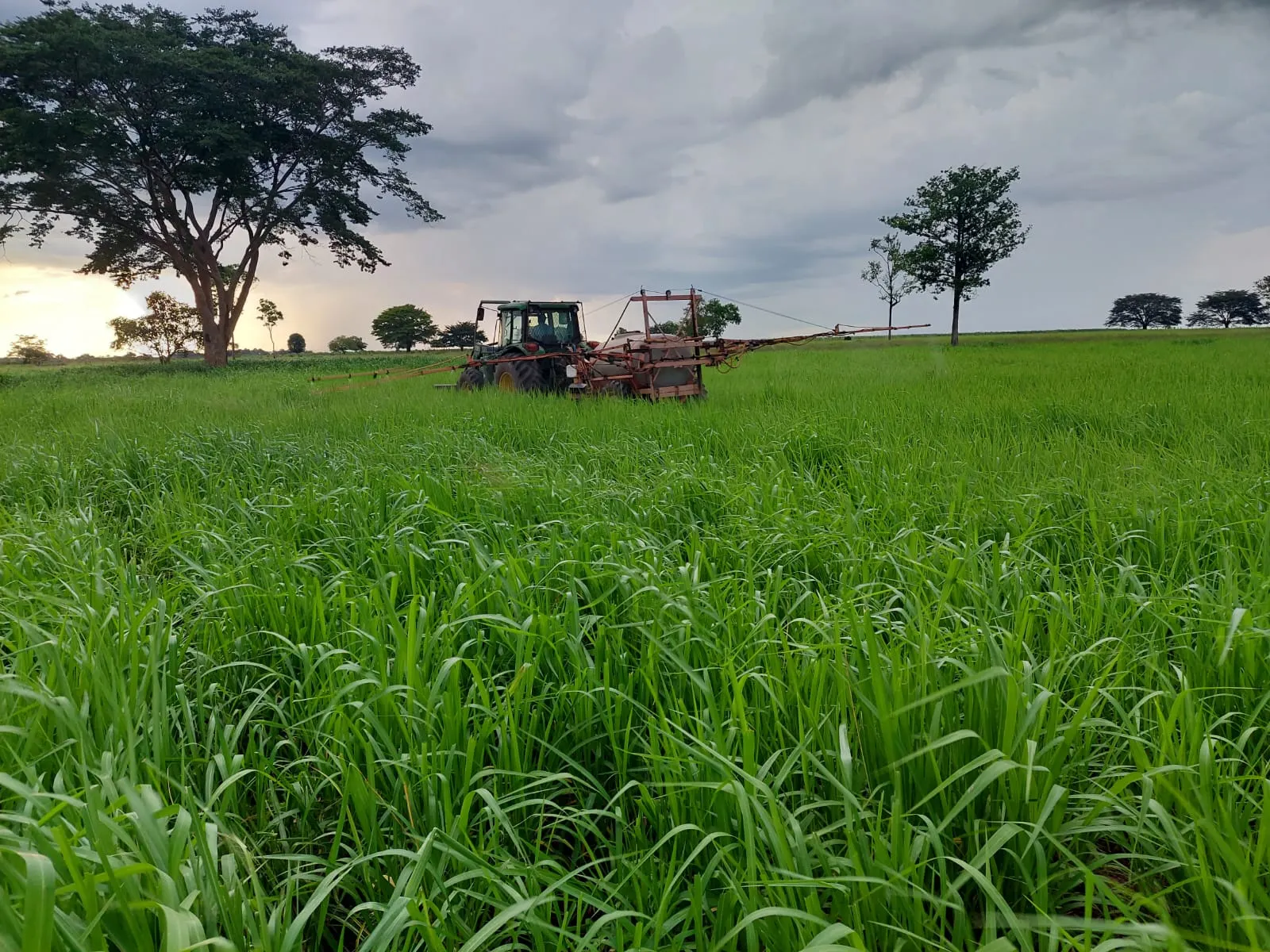 Fazenda à venda de 968 ha em Santa Fé do Araguaia, TO, Brasil