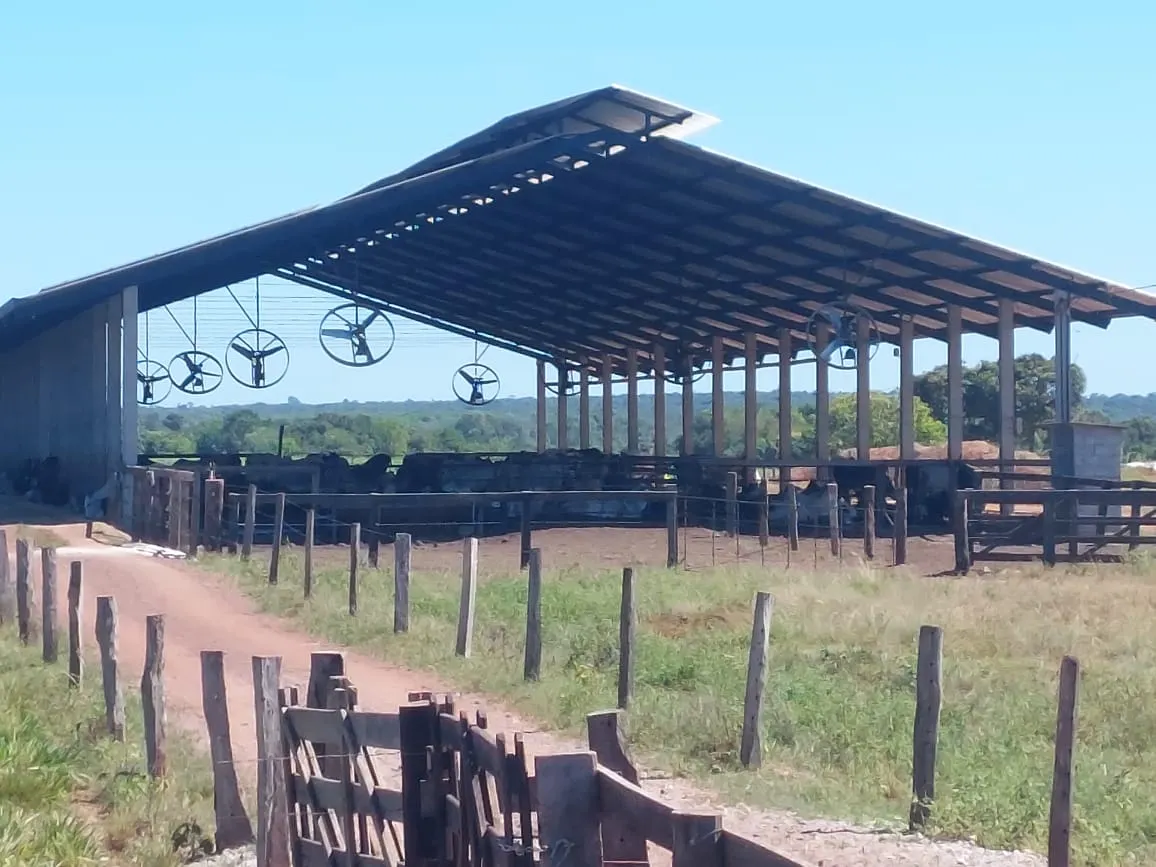 Fazenda à venda de 968 ha em Santa Fé do Araguaia, TO, Brasil