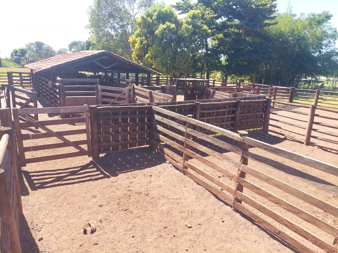 Fazenda à venda de 968 ha em Santa Fé do Araguaia, TO, Brasil