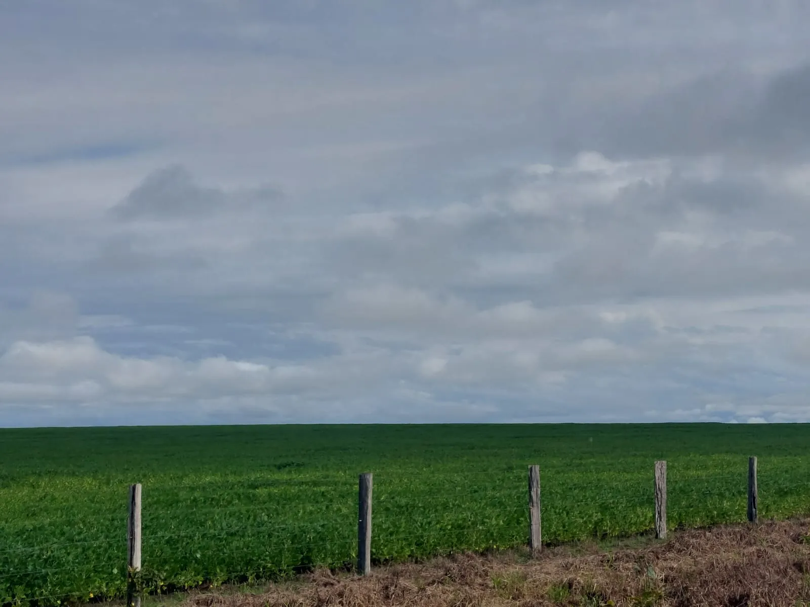 Fazenda à venda de 968 ha em Santa Fé do Araguaia, TO, Brasil