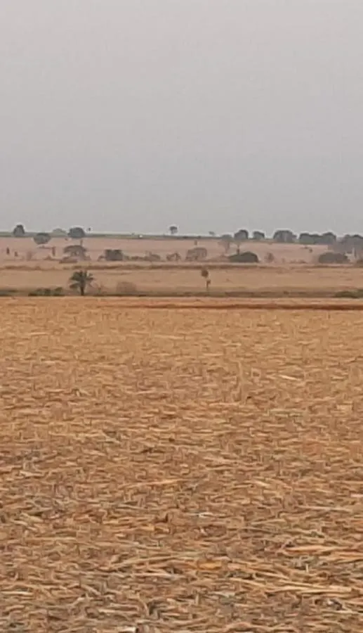 Fazenda à venda de 220 ha em Tatuí, SP, Brasil