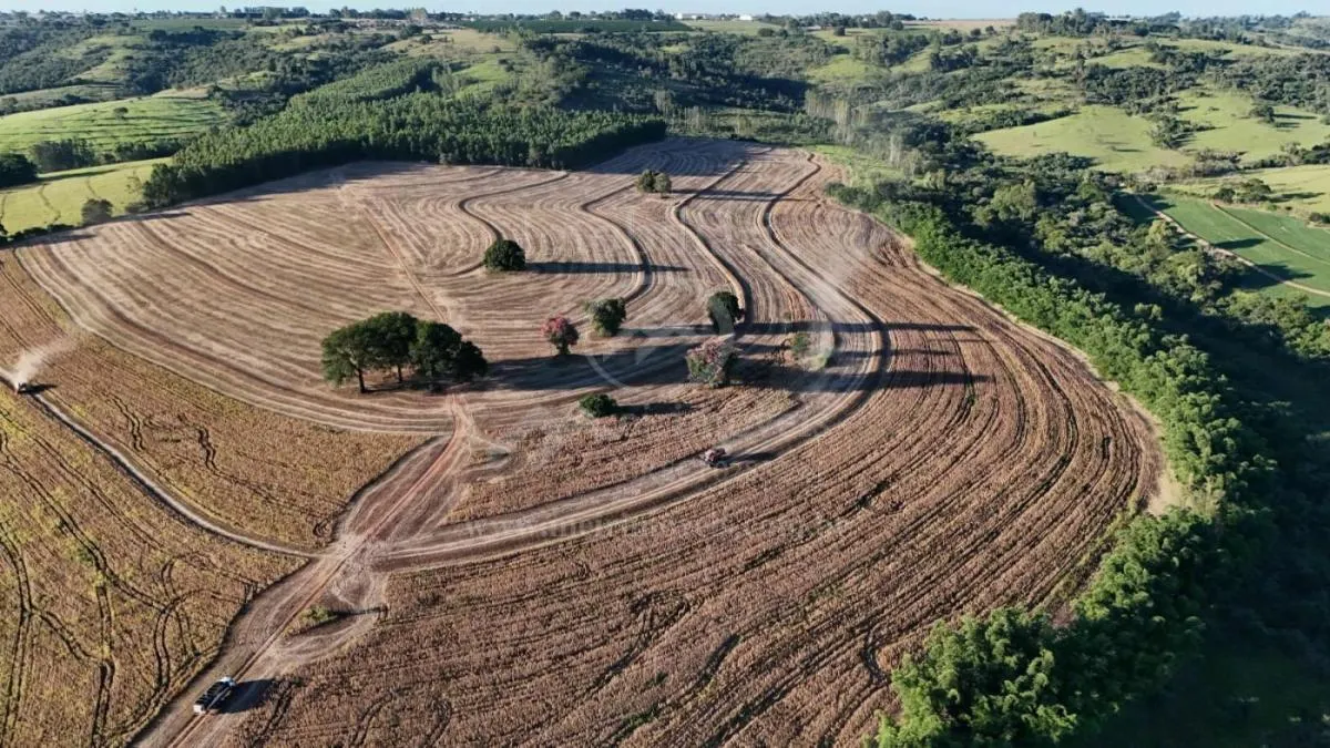 Fazenda à venda de 57 ha em Echaporã, SP, Brasil
