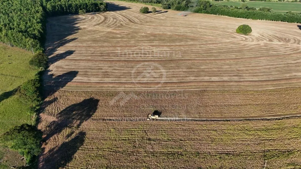 Fazenda à venda de 57 ha em Echaporã, SP, Brasil