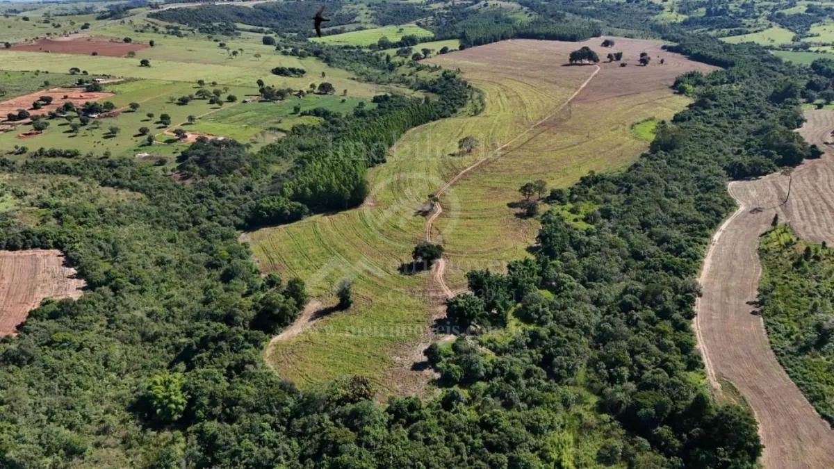 Fazenda à venda de 57 ha em Echaporã, SP, Brasil