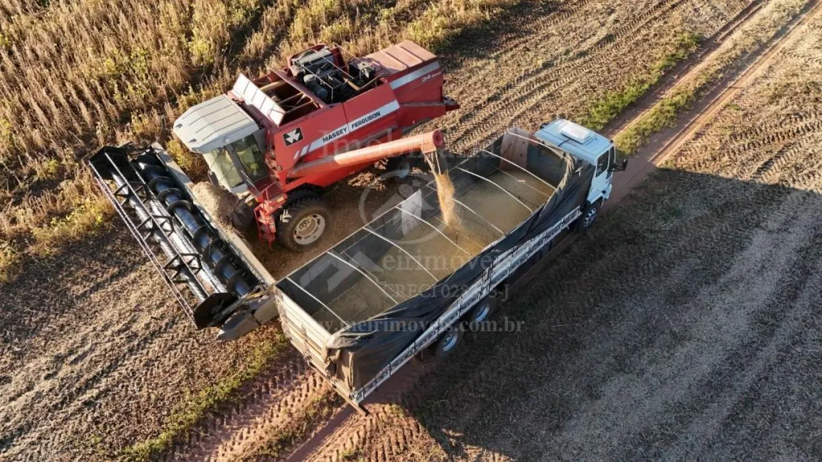 Fazenda à venda de 57 ha em Echaporã, SP, Brasil