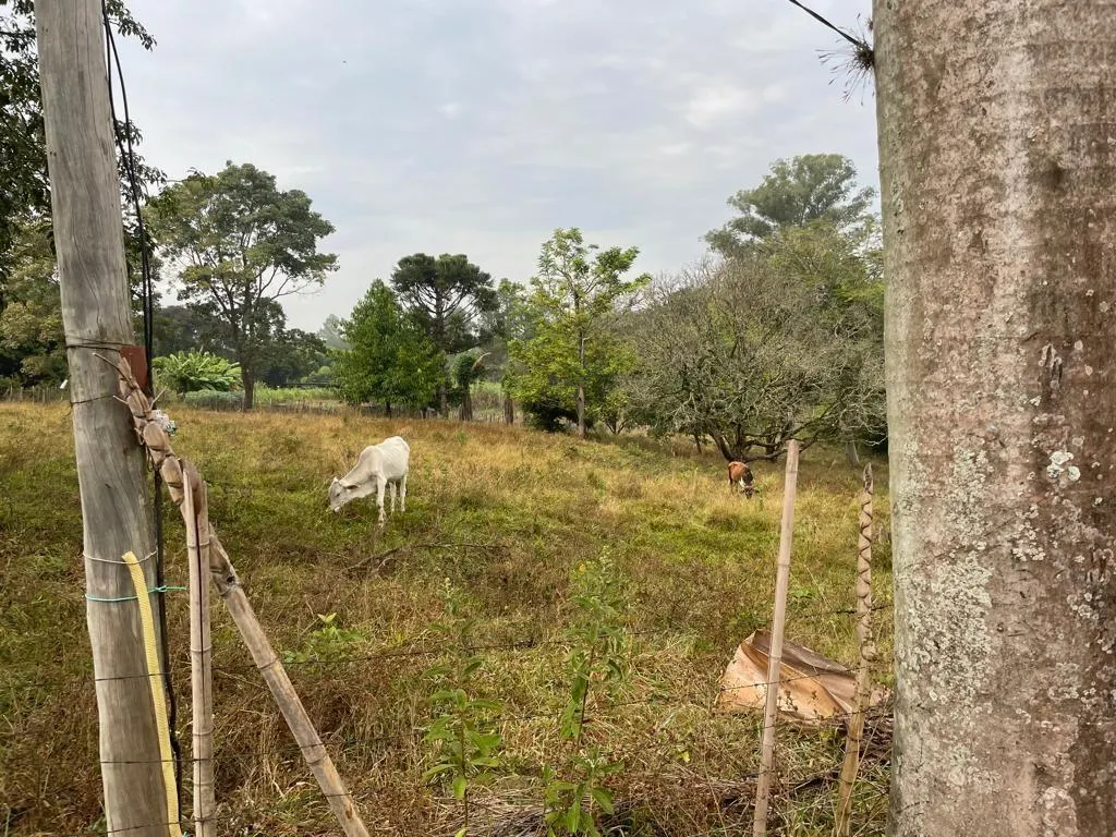 Country home for sale of 7 acres in Piracicaba, SP, Brazil