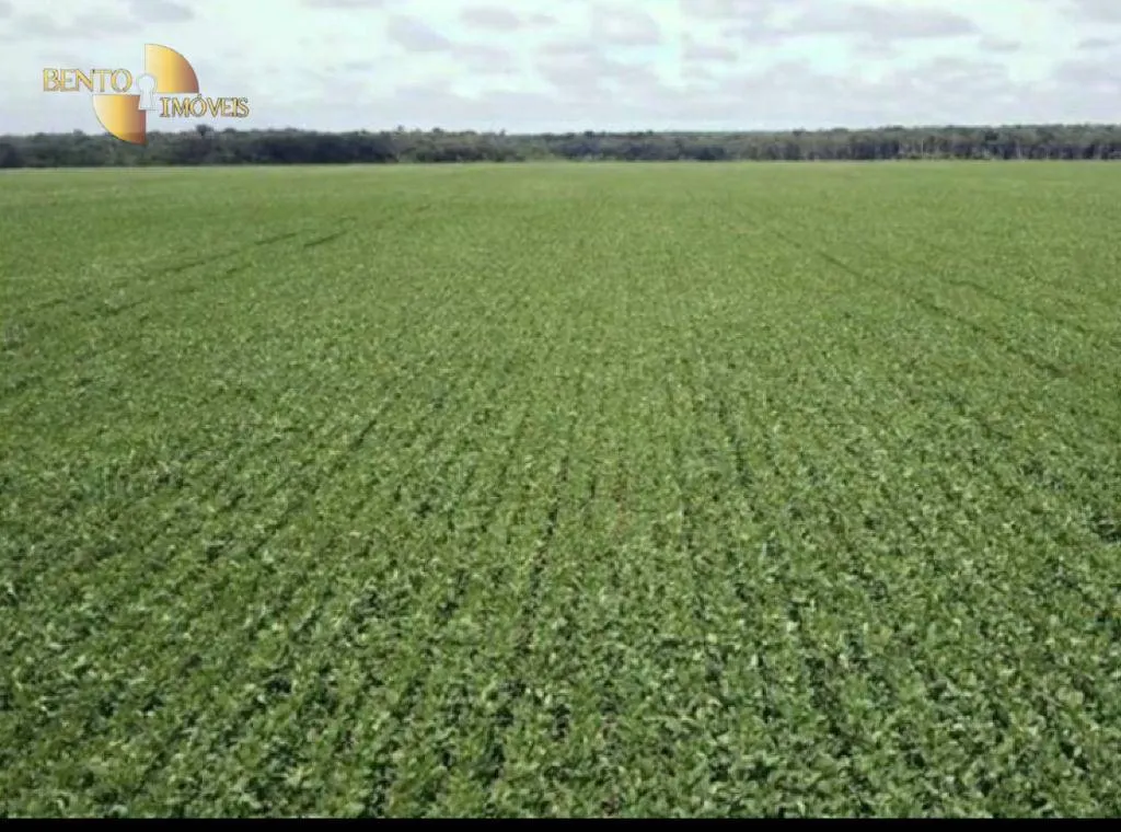 Fazenda à venda de 5.050 ha em Porto dos Gaúchos, MT, Brasil