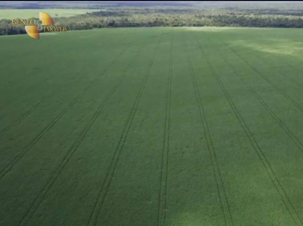 Fazenda à venda de 5.050 ha em Porto dos Gaúchos, MT, Brasil