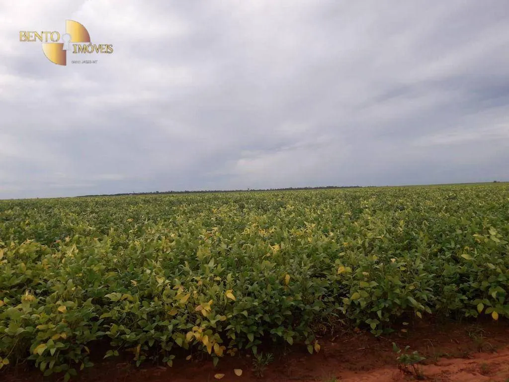 Fazenda à venda de 5.050 ha em Porto dos Gaúchos, MT, Brasil