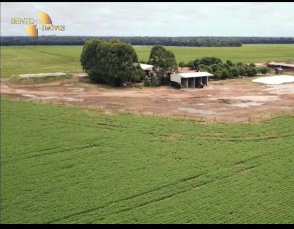 Fazenda à venda de 5.050 ha em Porto dos Gaúchos, MT, Brasil