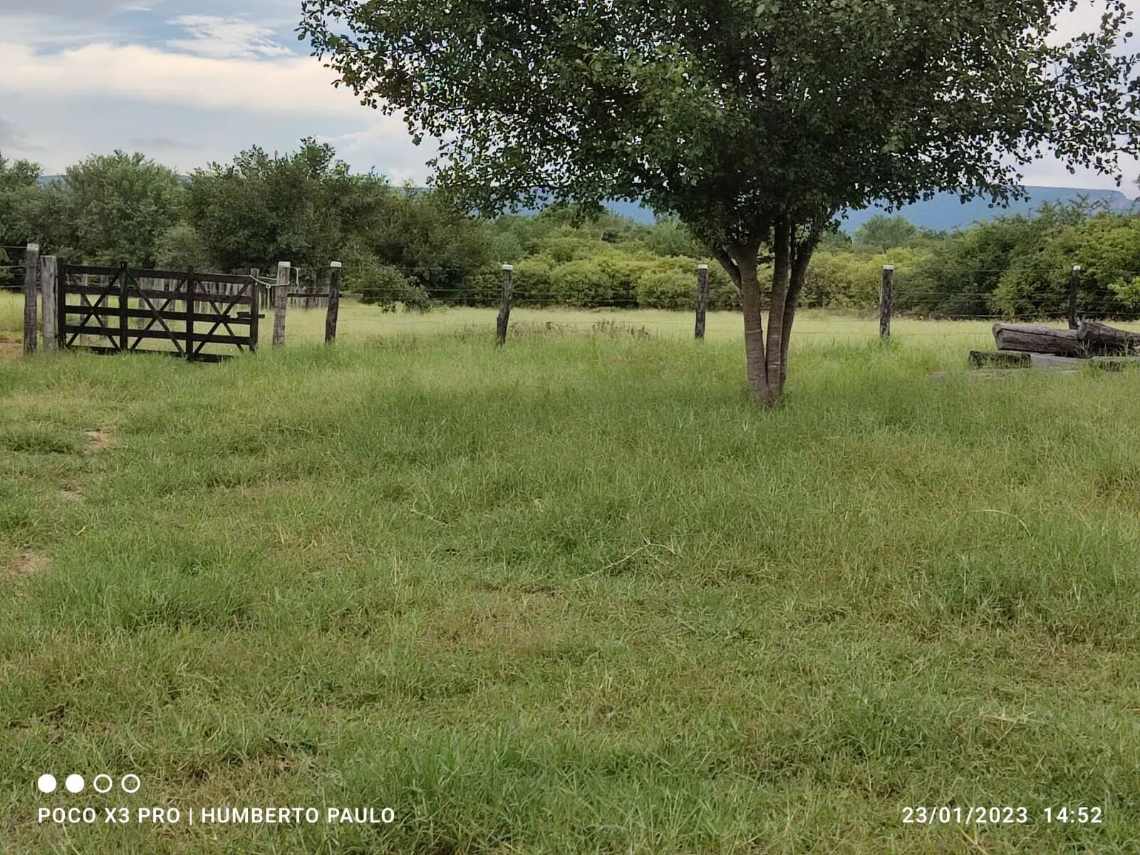 Fazenda à venda de 2.901 ha em Muquém de São Francisco, BA, Brasil