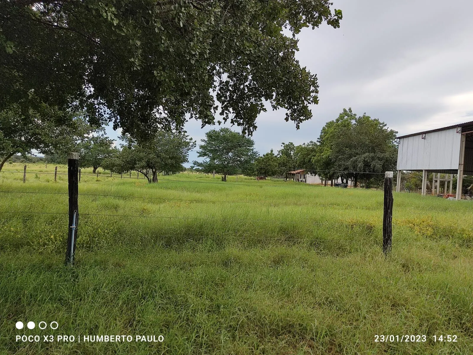 Fazenda à venda de 2.901 ha em Muquém de São Francisco, BA, Brasil