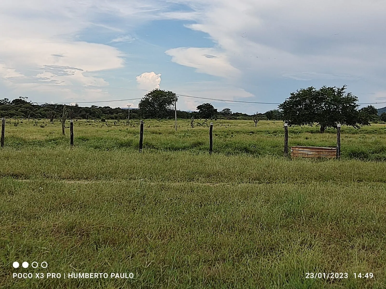Fazenda à venda de 2.901 ha em Muquém de São Francisco, BA, Brasil