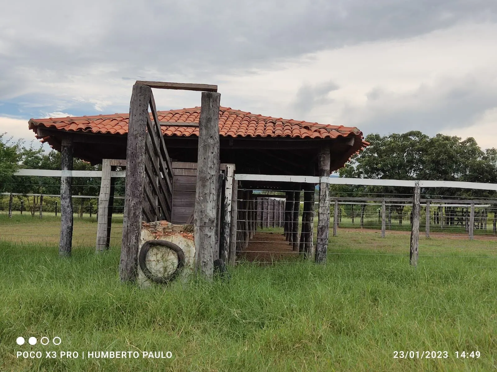 Fazenda à venda de 2.901 ha em Muquém de São Francisco, BA, Brasil