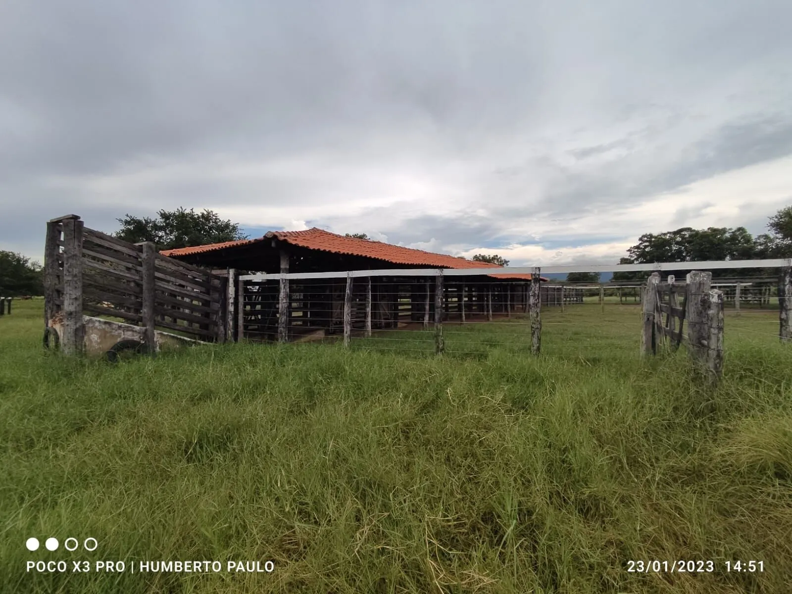 Fazenda à venda de 2.901 ha em Muquém de São Francisco, BA, Brasil