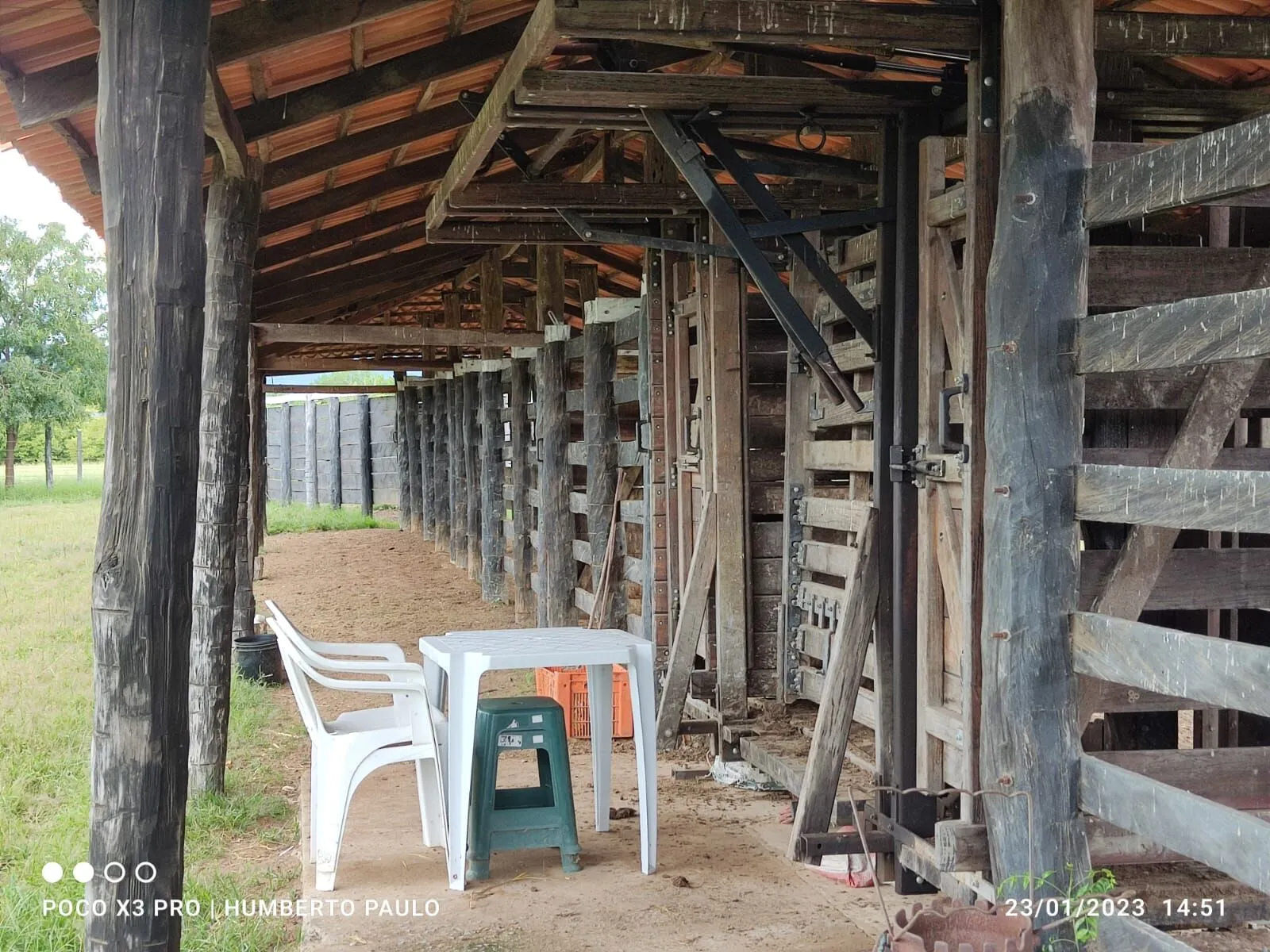 Fazenda à venda de 2.901 ha em Muquém de São Francisco, BA, Brasil
