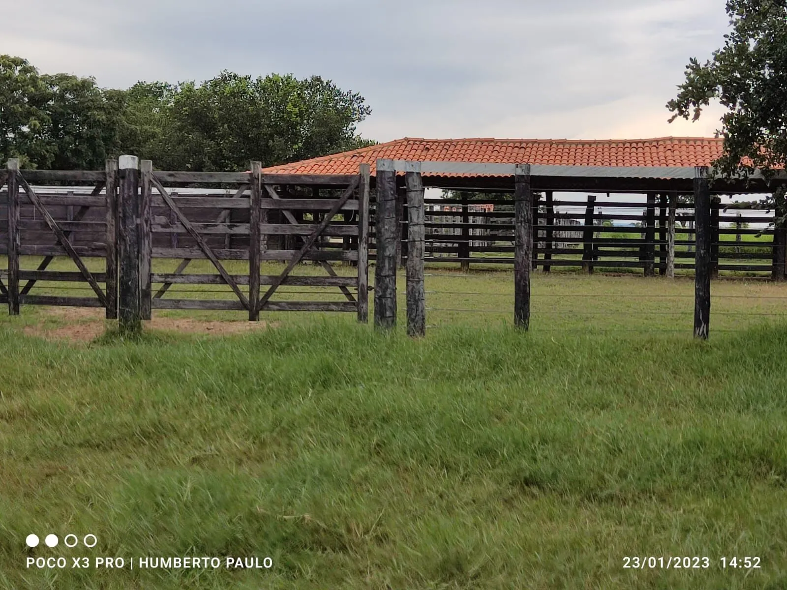 Fazenda à venda de 2.901 ha em Muquém de São Francisco, BA, Brasil