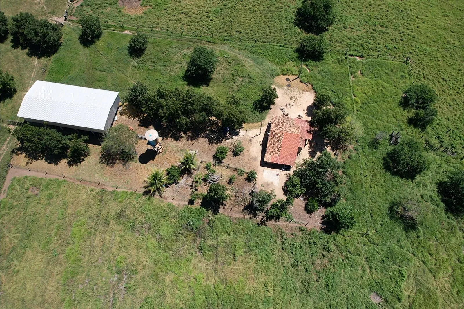 Fazenda à venda de 2.901 ha em Muquém de São Francisco, BA, Brasil