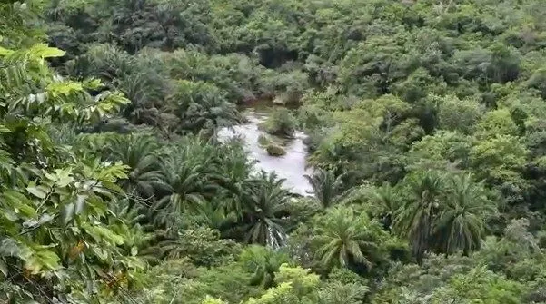 Sítio à venda de 33 ha em Lençóis, BA, Brasil