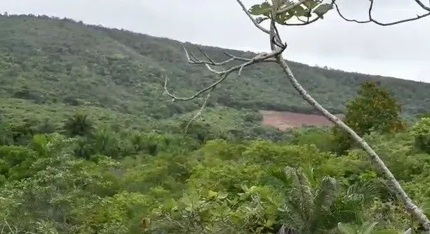 Sítio à venda de 33 ha em Lençóis, BA, Brasil