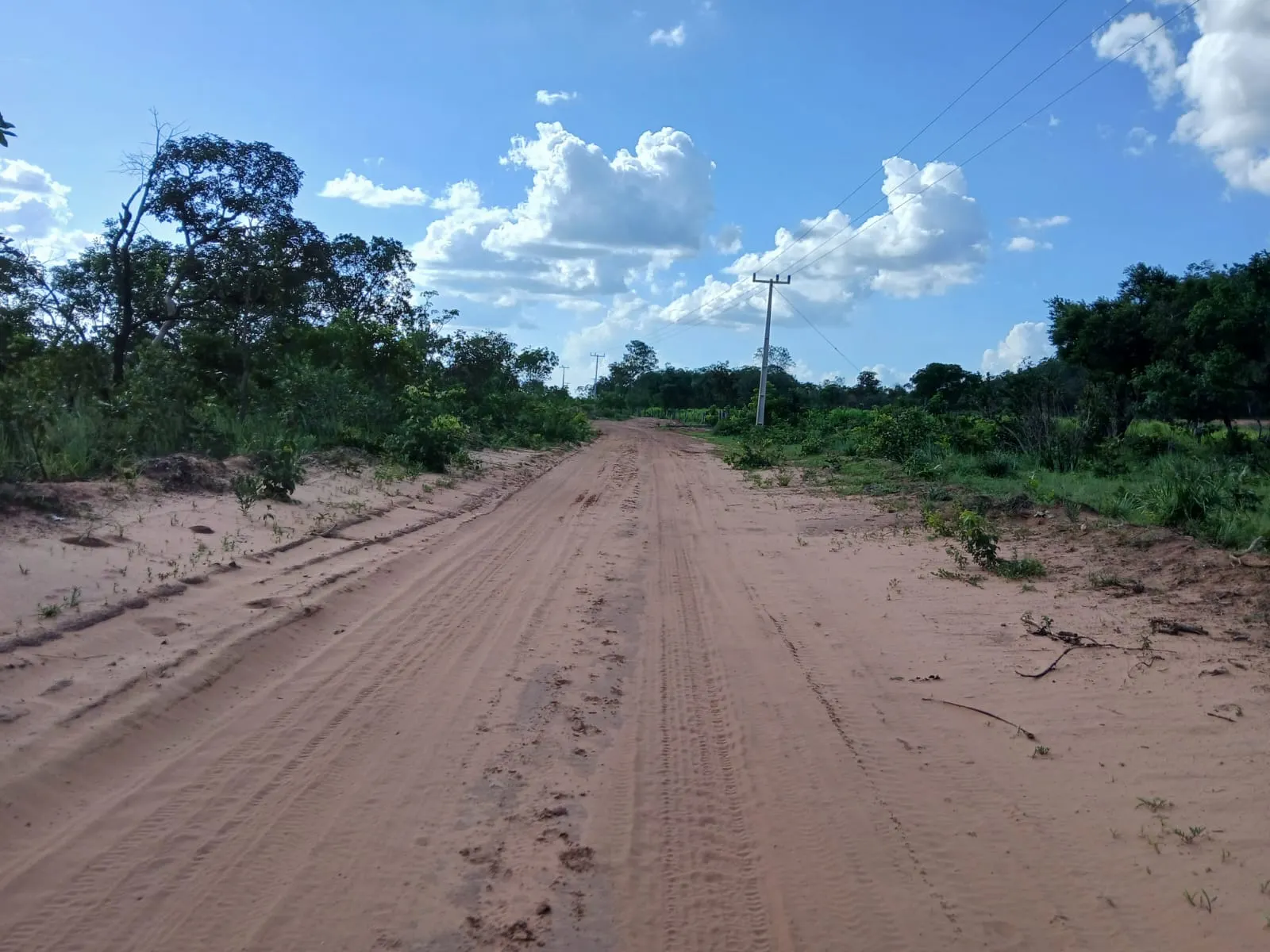 Fazenda à venda de 74 ha em Baixa Grande do Ribeiro, PI, Brasil