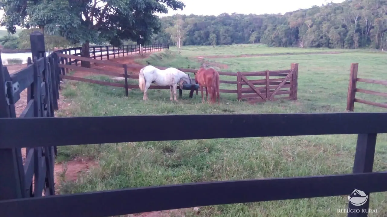 Farm for sale of 914 acres in Registro, SP, Brazil