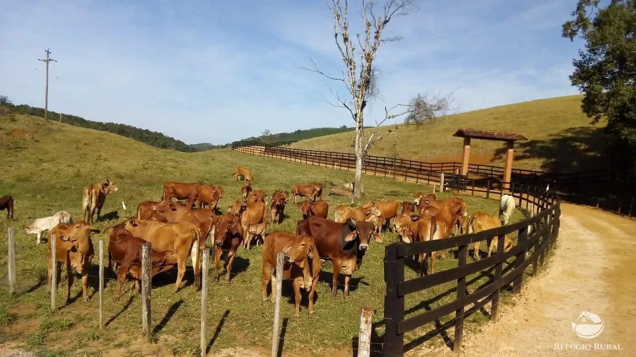 Farm for sale of 914 acres in Registro, SP, Brazil