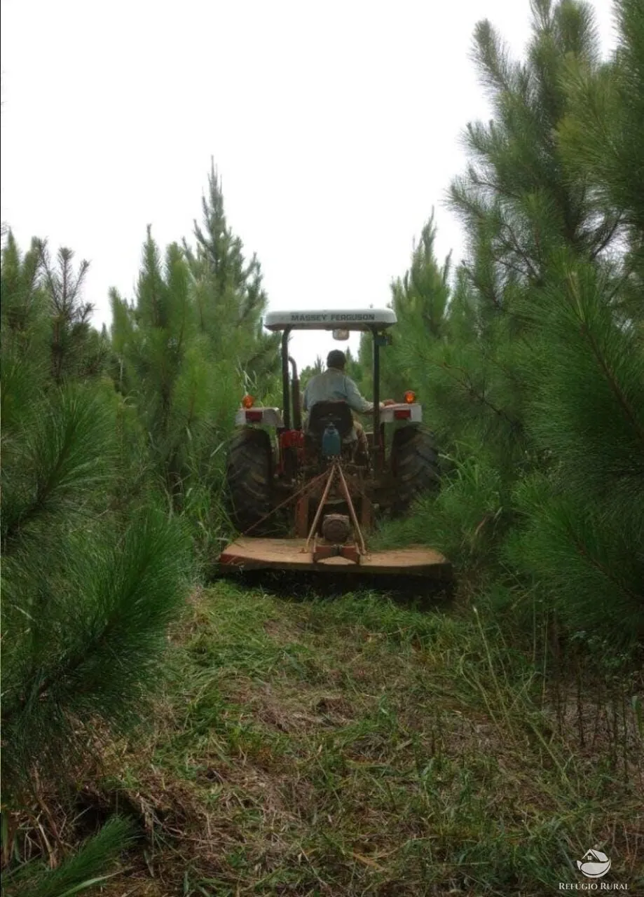 Farm for sale of 914 acres in Registro, SP, Brazil