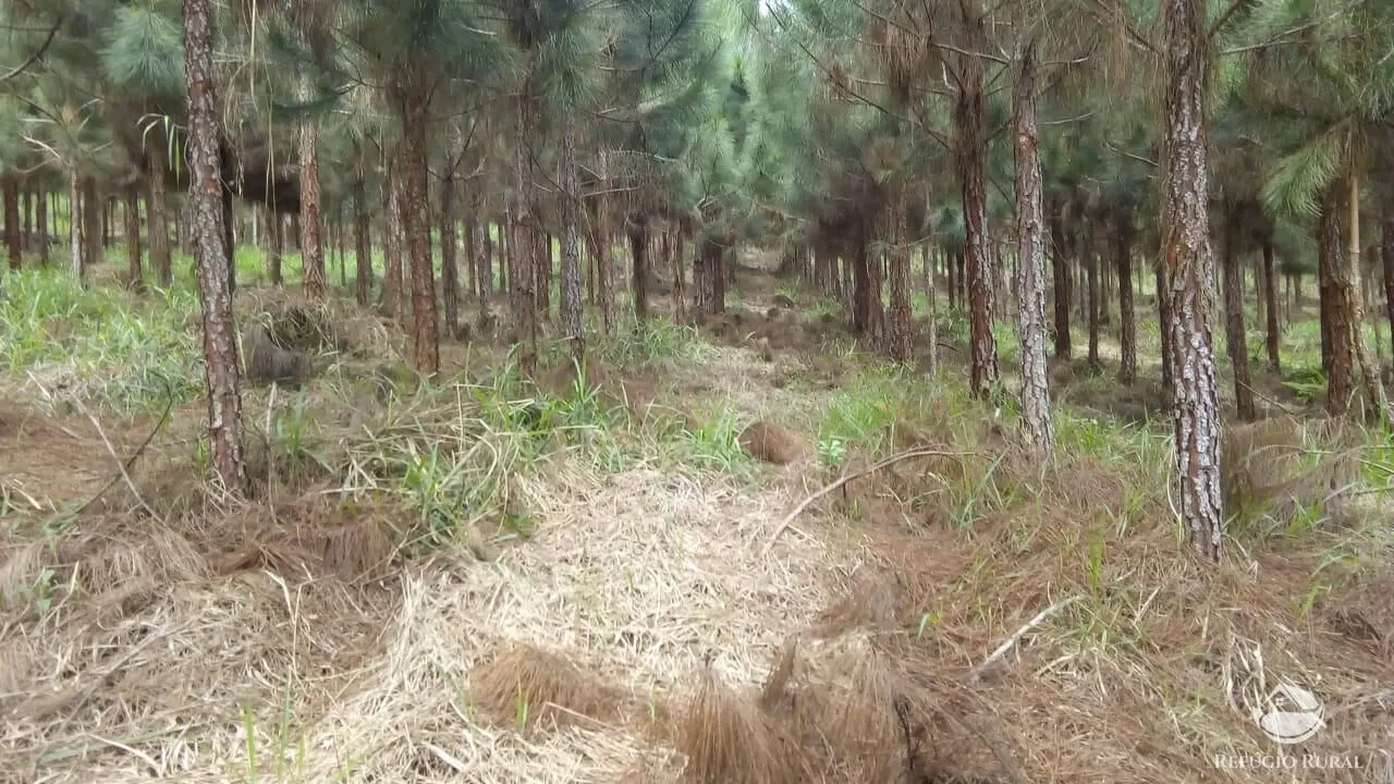 Farm for sale of 914 acres in Registro, SP, Brazil