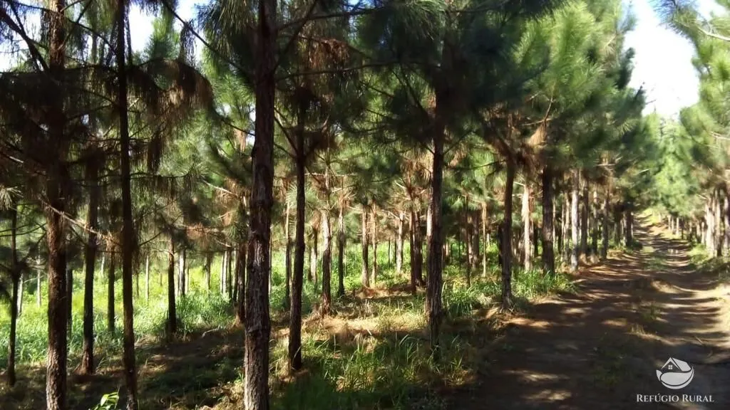 Farm for sale of 914 acres in Registro, SP, Brazil