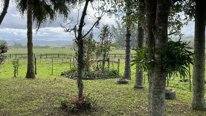 Sítio à venda de 12 ha em Santo Antônio da Patrulha, RS, Brasil